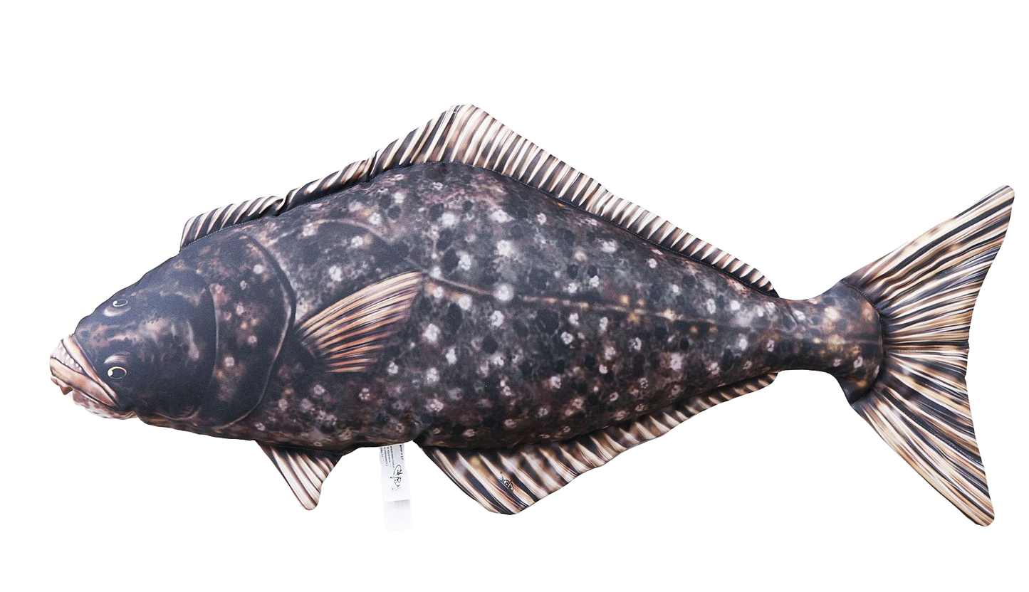 Fiskepute Kveite 72cm - Naturtro Pute Gaby Hippoglossus hippoglossus