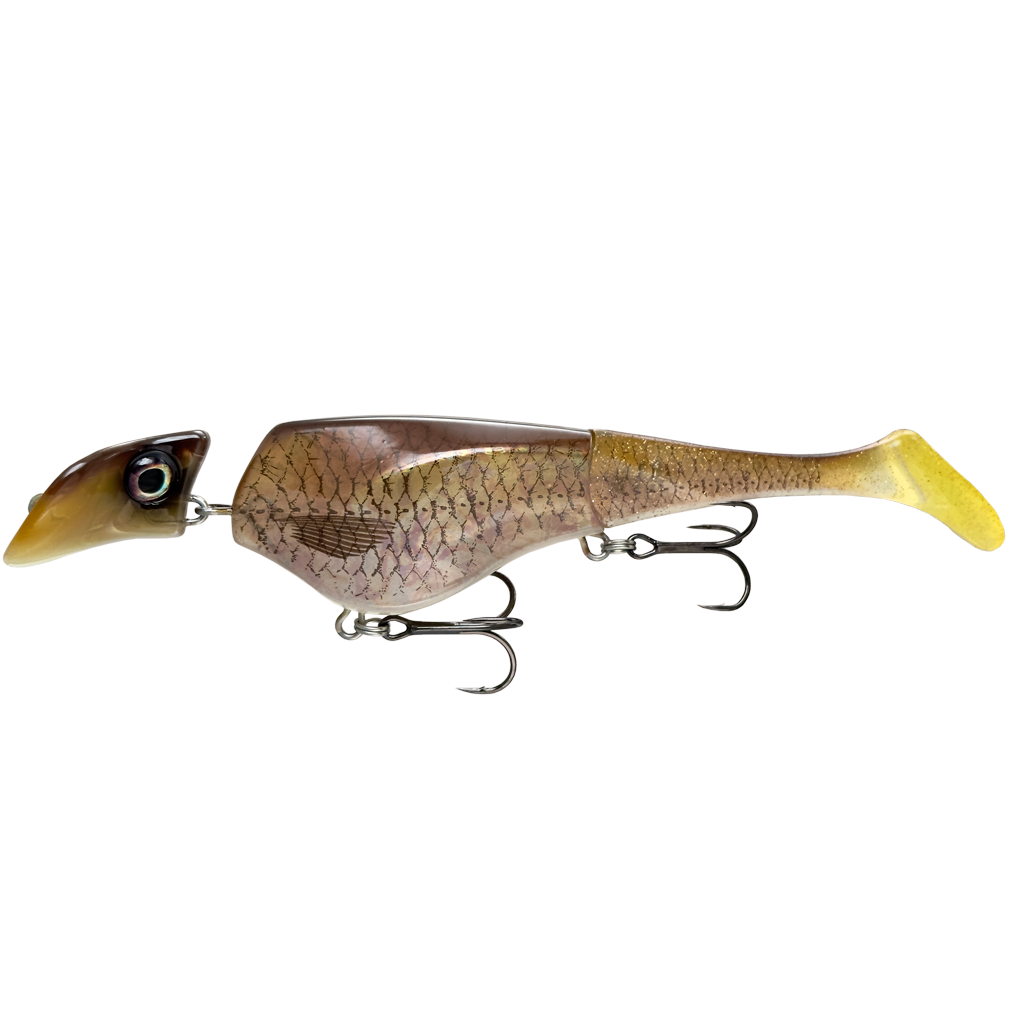 Headbanger Shad 16cm – Sinking – Golden Shiner 33g