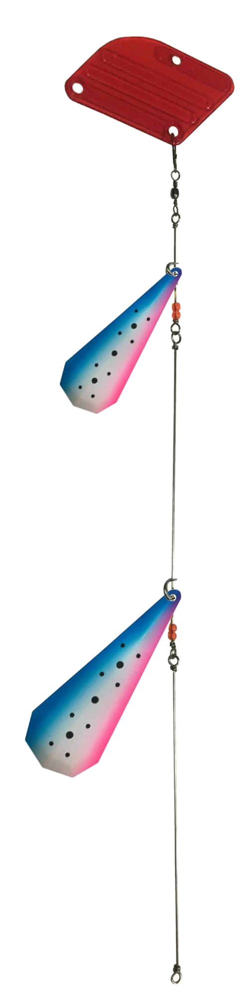 Tasmanian Devil Rainbow Trout - Ford Fender - Markdrag - UV