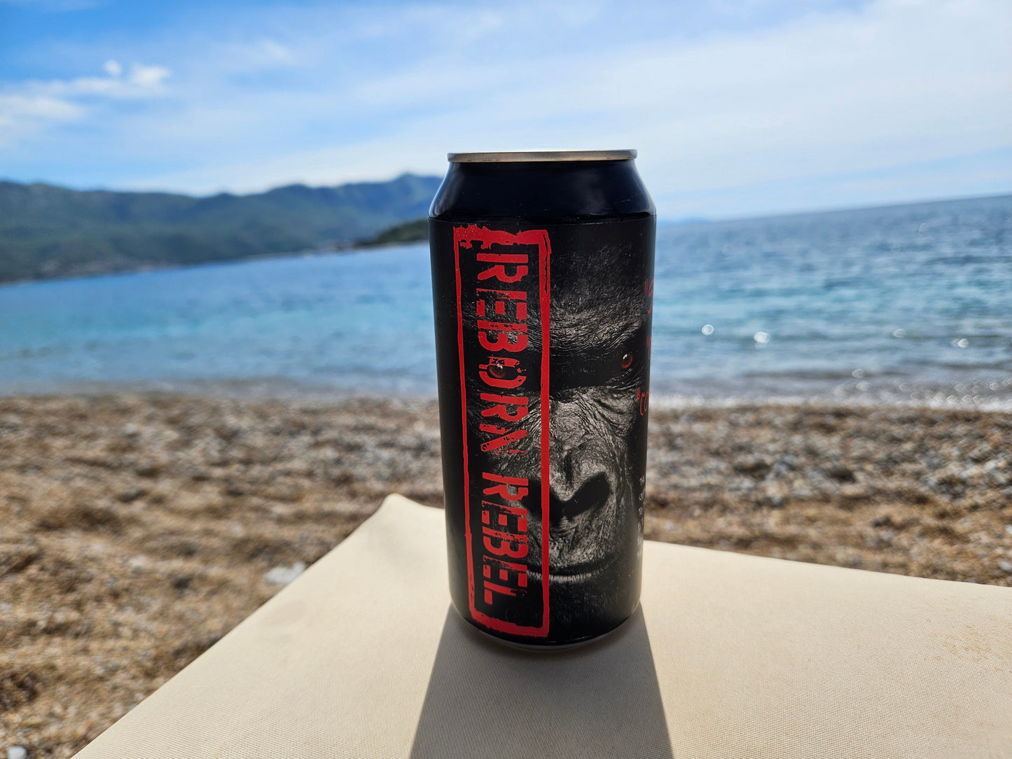 Reborn Energy - Vekk Rebellen i Deg