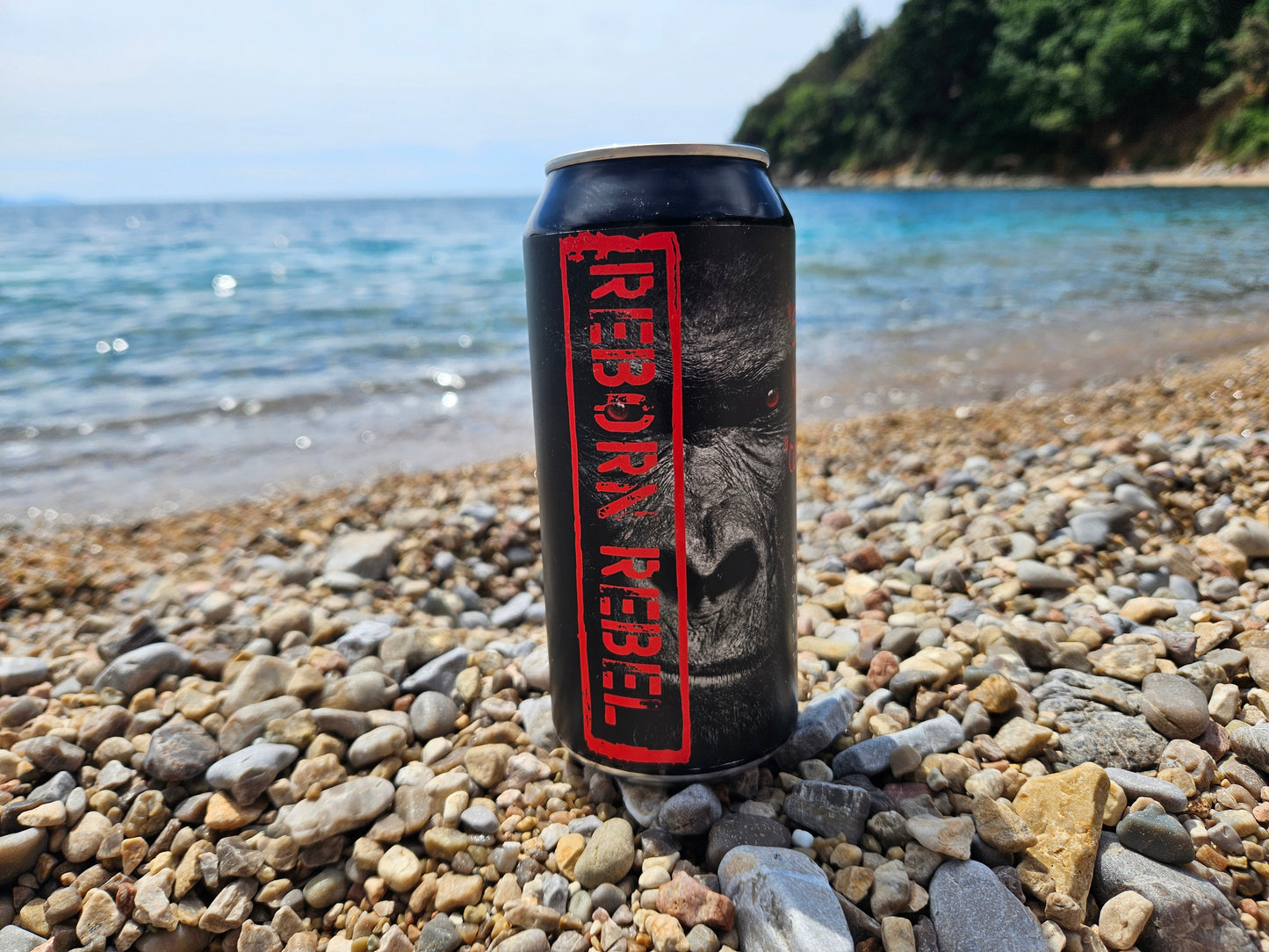 Reborn Energy - Vekk Rebellen i Deg