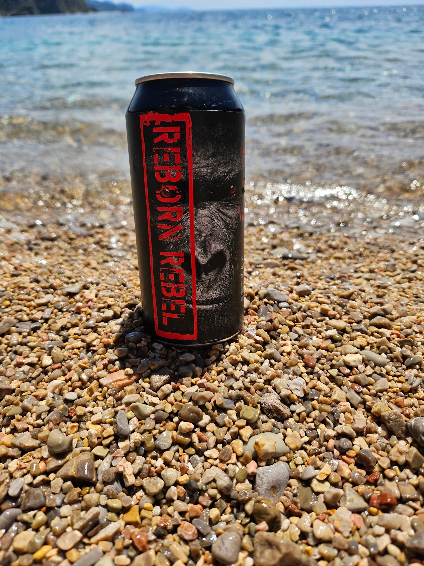 Reborn Energy - Vekk Rebellen i Deg