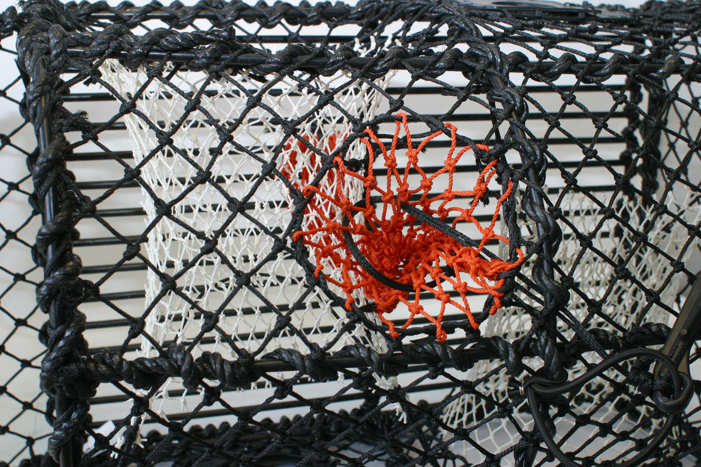 Krabbe/Hummerteine Enkel - 62x45x40 cm