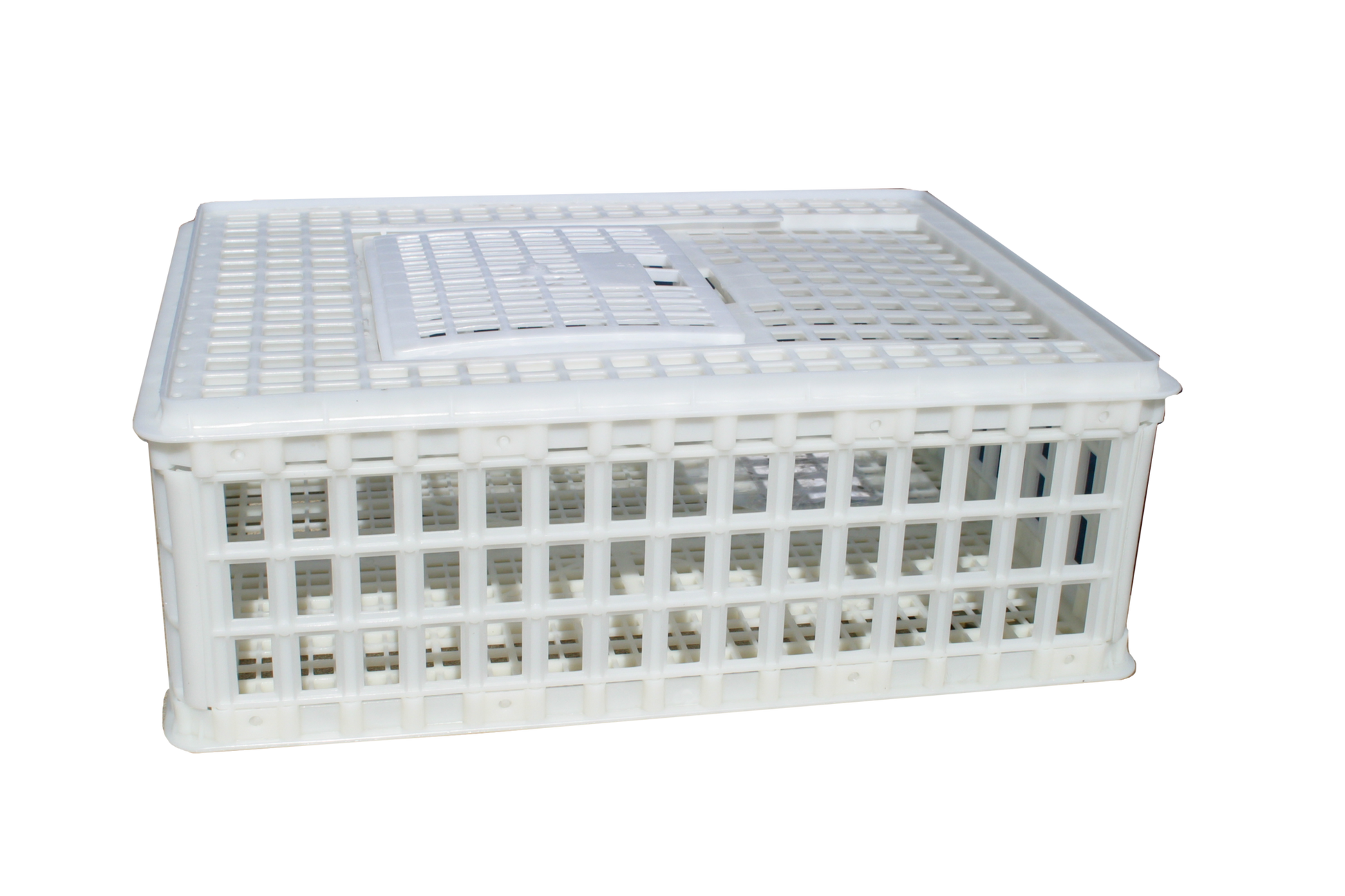Sanketeine Plast - 75x55x26 cm - Krepsfiske