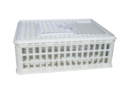 Sanketeine Plast - 75x55x26 cm - Krepsfiske