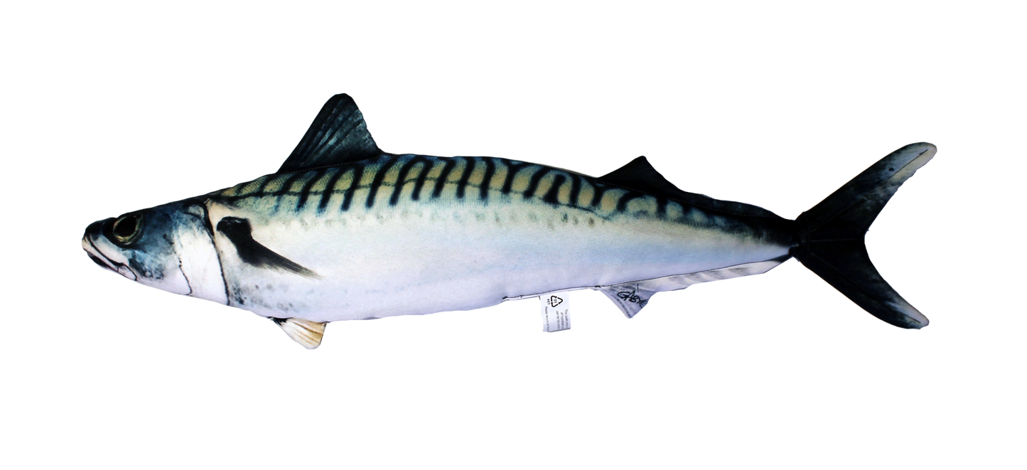 Fiskepute - Makrell - Scomber Scombrus - 60cm