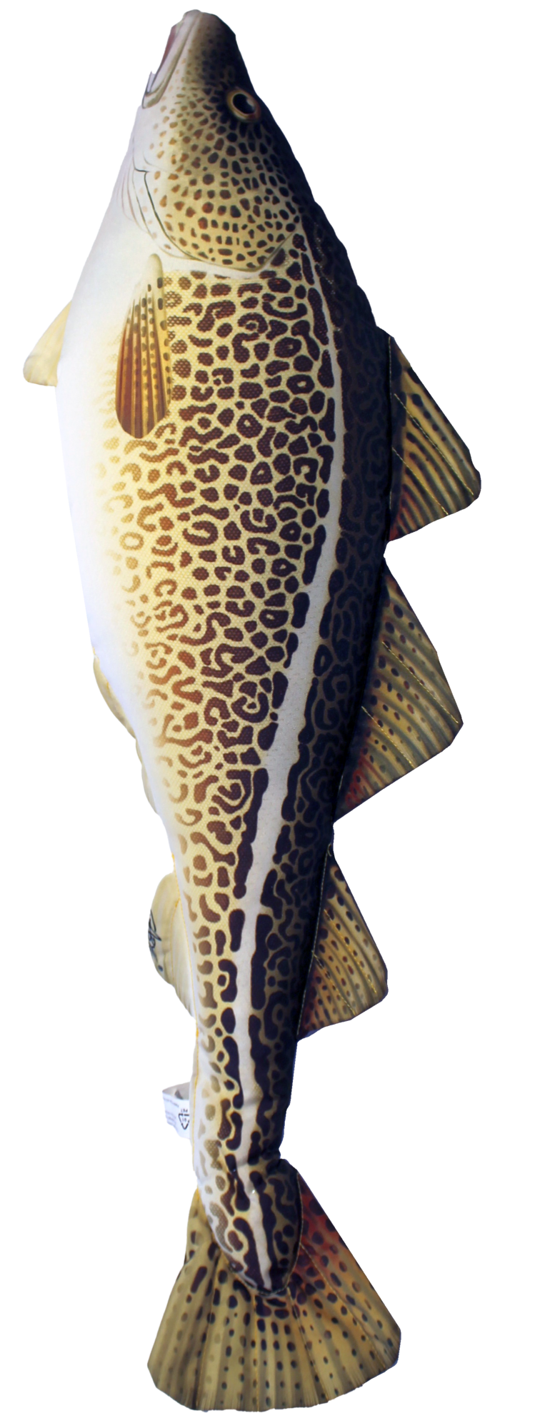 Fiskepute - Torsk - Gadus Morhua - 75 cm