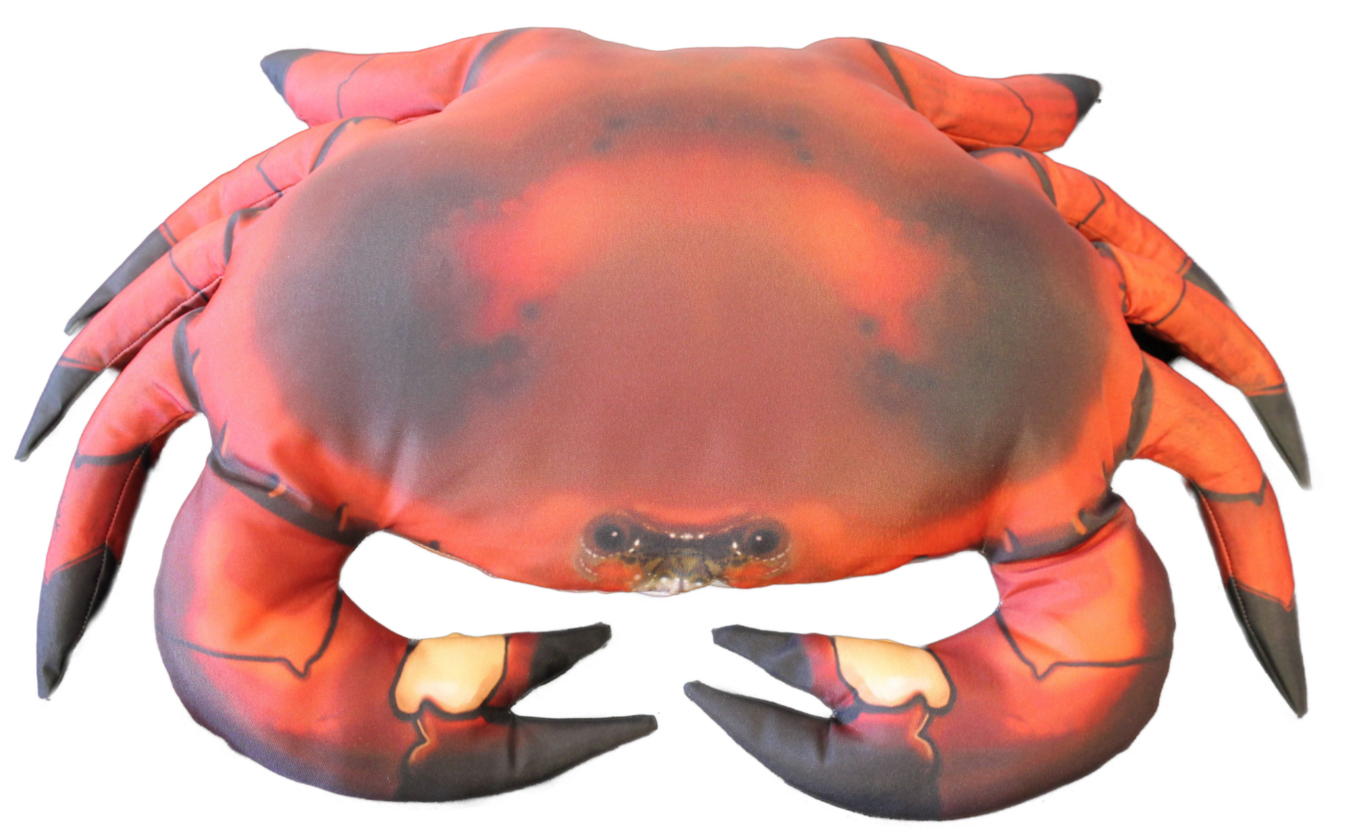 Fiskepute - Krabbe - Cancer Pagurus - 60 cm
