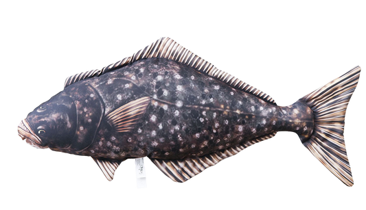 Fiskepute Kveite 72cm - Naturtro Pute Gaby Hippoglossus hippoglossus