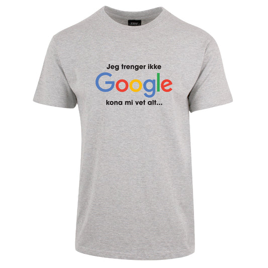 Trenger ikke Google - tskjorte Aske