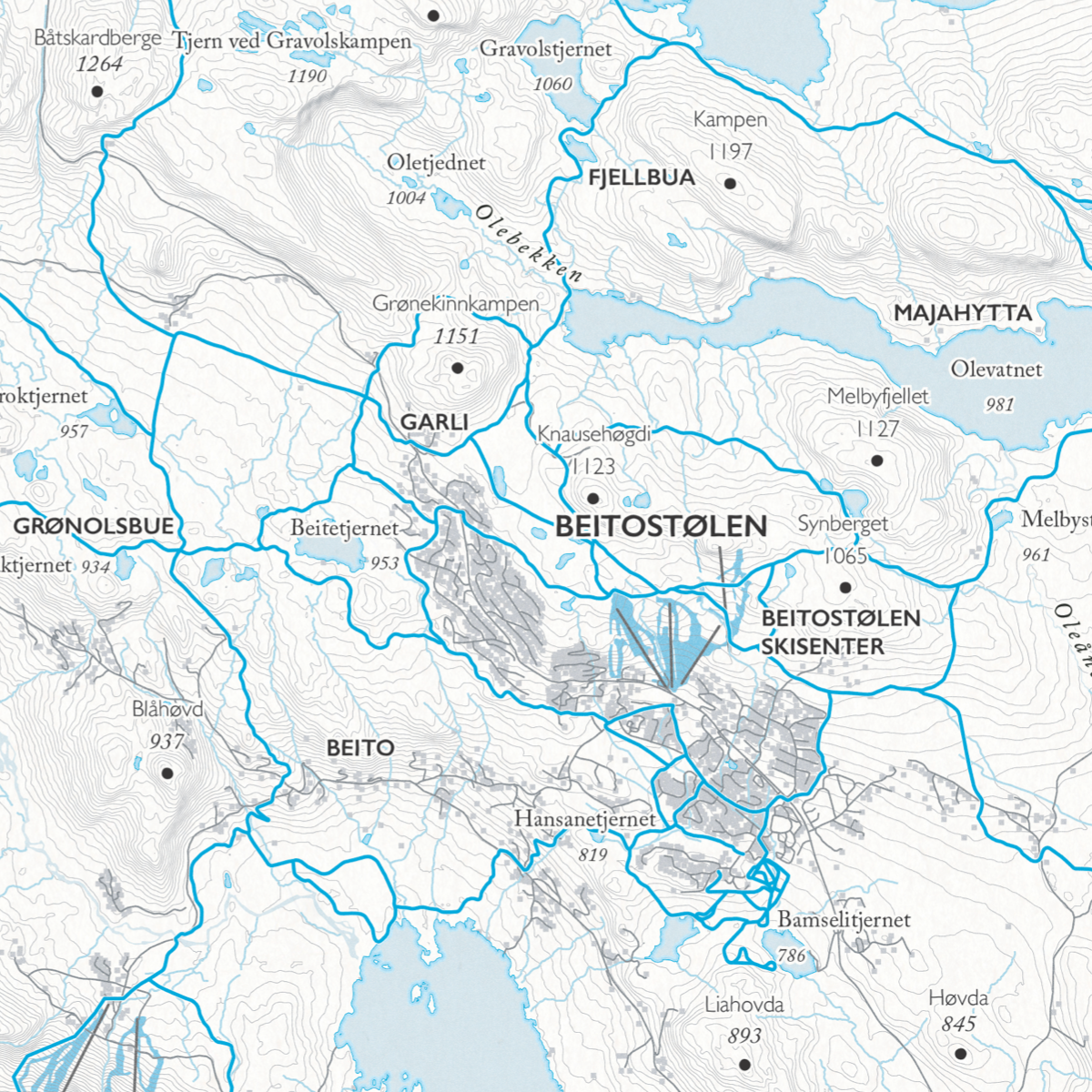 Skikart Beitostølen