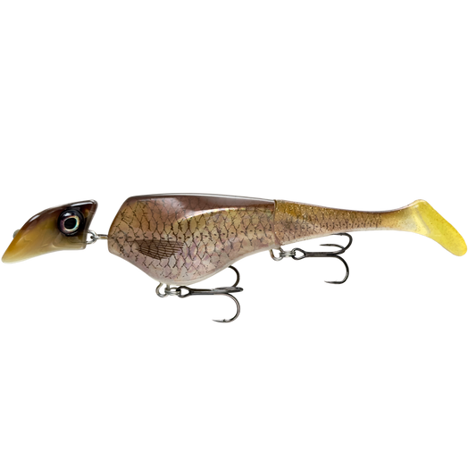 Headbanger Shad 16cm – Sinking – Golden Shiner