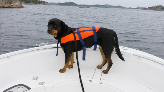 Redningsvest for Hund - Str. XS/S/M - 3-40 kg
